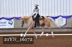 21YN_16172 thumbnail
