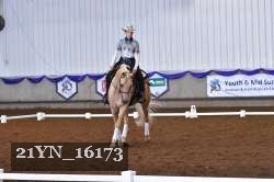 21YN_16173 thumbnail