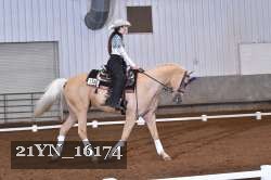 21YN_16174 thumbnail