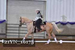 21YN_16175 thumbnail