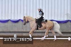 21YN_16176 thumbnail