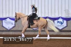 21YN_16177 thumbnail
