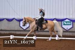 21YN_16178 thumbnail