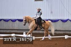 21YN_16179 thumbnail