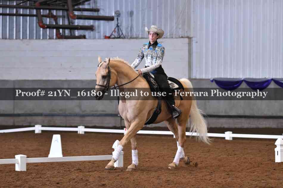 Proof Number 21YN_16180