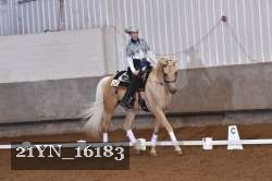 21YN_16183 thumbnail
