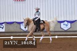 21YN_16184 thumbnail