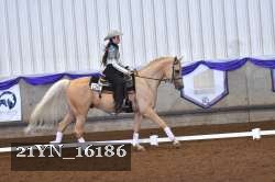 21YN_16186 thumbnail