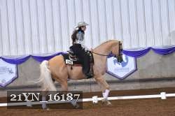 21YN_16187 thumbnail