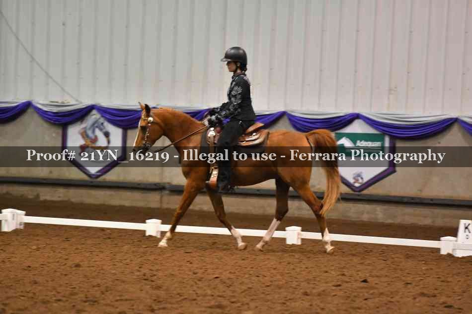 Proof Number 21YN_16219