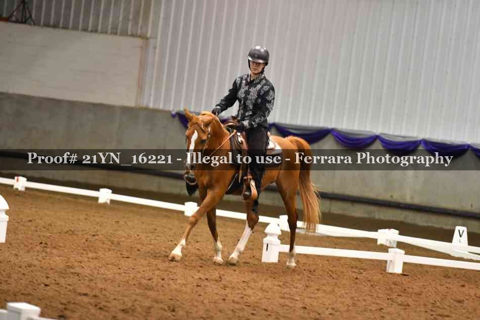 Proof Number 21YN_16221