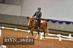 21YN_16221 thumbnail
