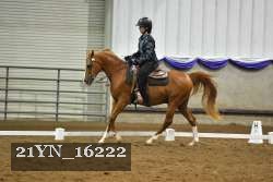 21YN_16222 thumbnail