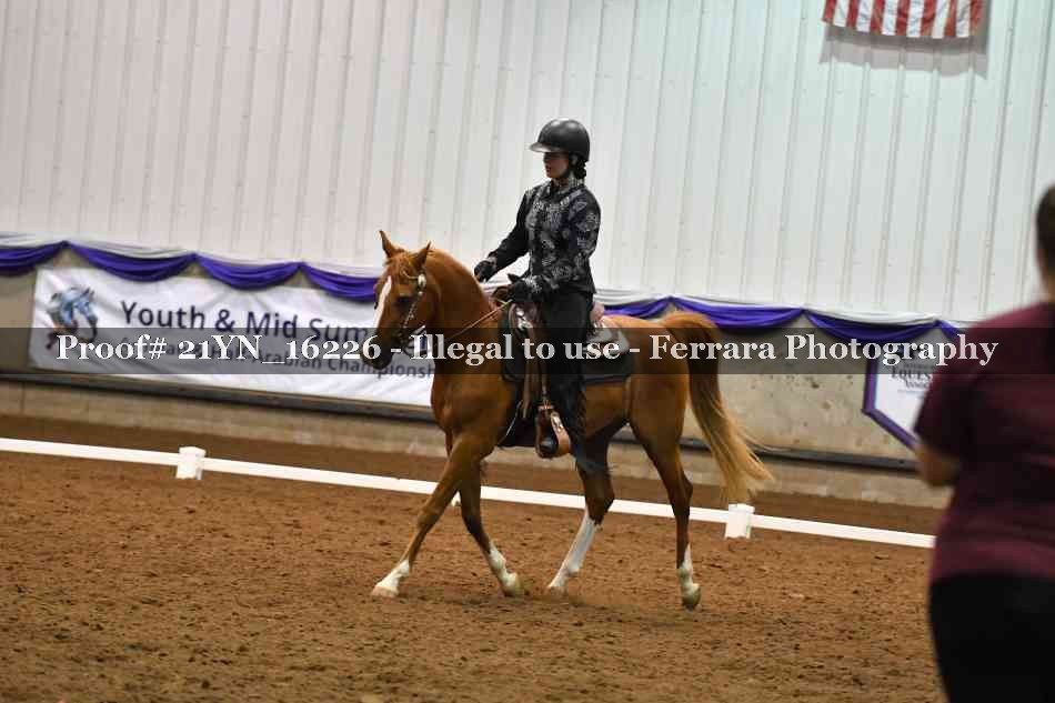 Proof Number 21YN_16226