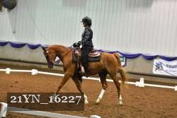 21YN_16227 thumbnail