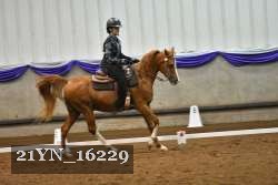 21YN_16229 thumbnail