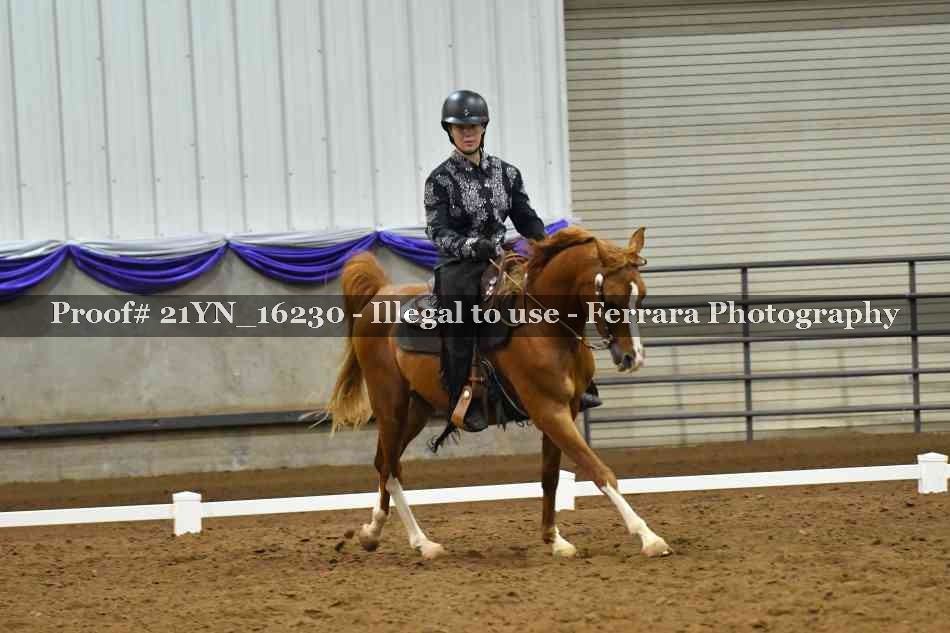 Proof Number 21YN_16230