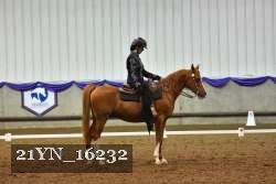 21YN_16232 thumbnail