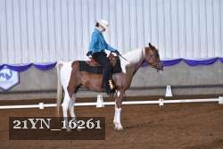 21YN_16261 thumbnail