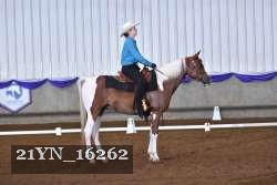 21YN_16262 thumbnail