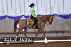 21YN_16264 thumbnail