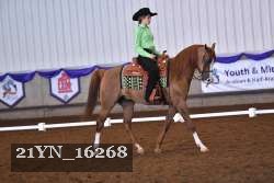 21YN_16268 thumbnail