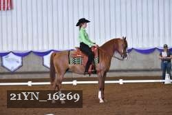 21YN_16269 thumbnail