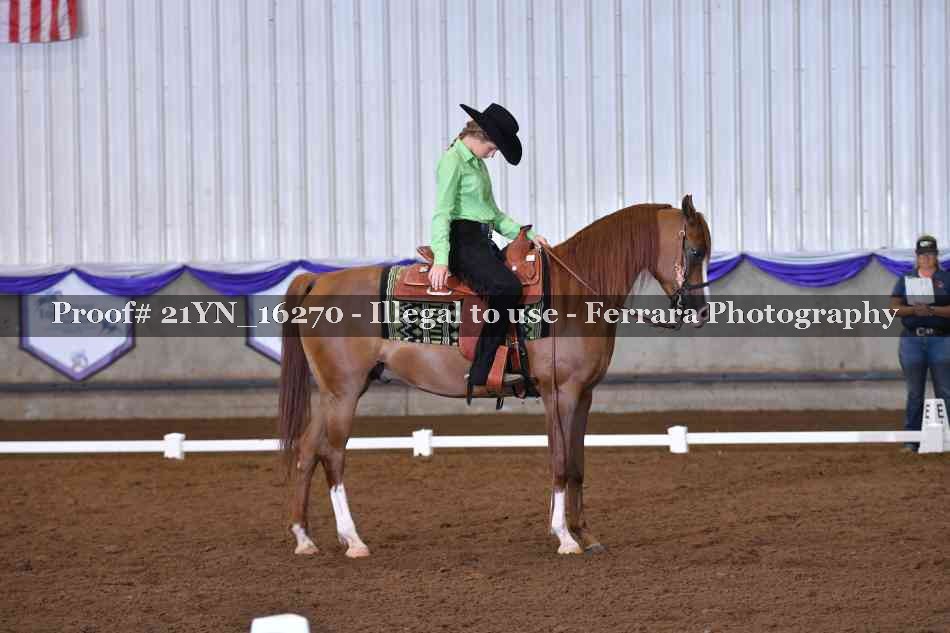 Proof Number 21YN_16270