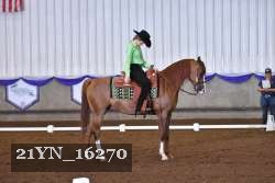 21YN_16270 thumbnail