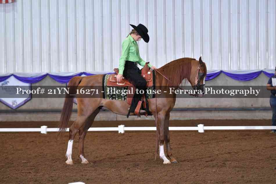 Proof Number 21YN_16271