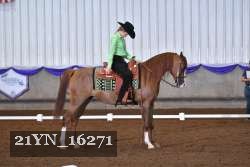 21YN_16271 thumbnail