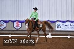 21YN_16273 thumbnail