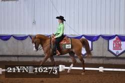 21YN_16275 thumbnail
