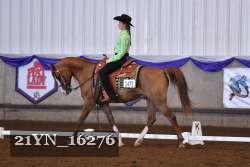 21YN_16276 thumbnail