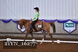 21YN_16277 thumbnail
