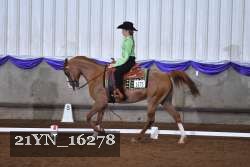 21YN_16278 thumbnail