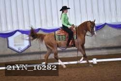 21YN_16282 thumbnail