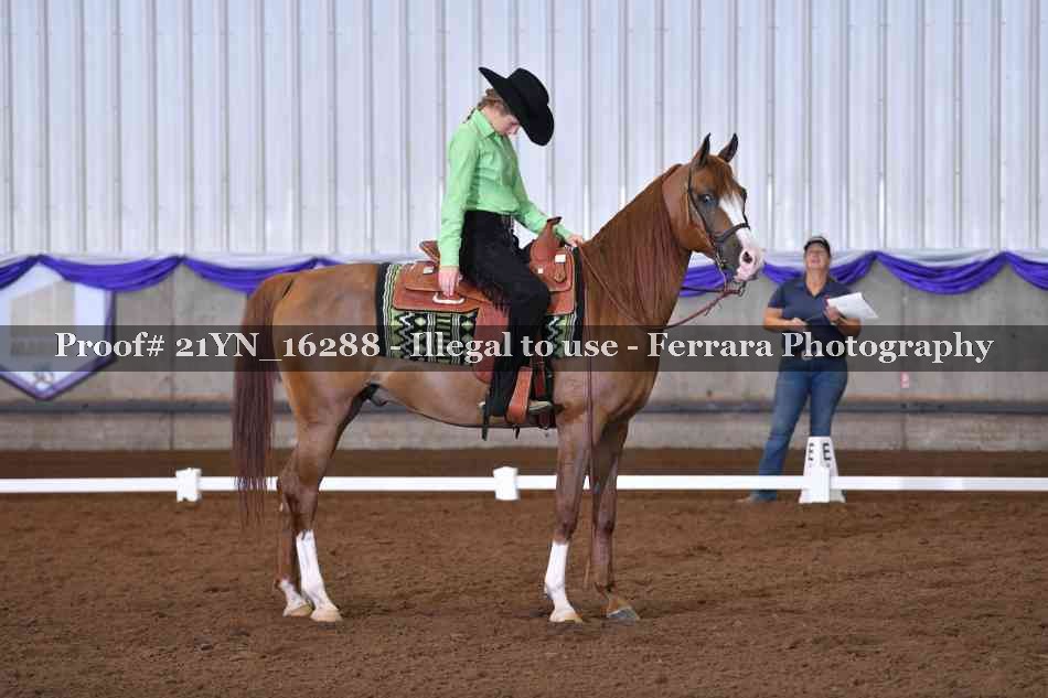 Proof Number 21YN_16288