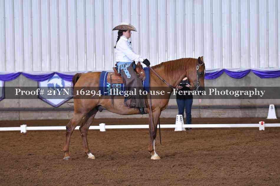 Proof Number 21YN_16294