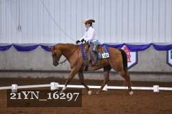 21YN_16297 thumbnail