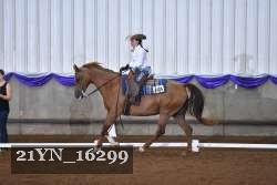 21YN_16299 thumbnail