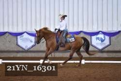 21YN_16301 thumbnail