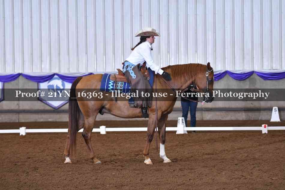 Proof Number 21YN_16363