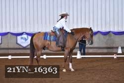 21YN_16363 thumbnail