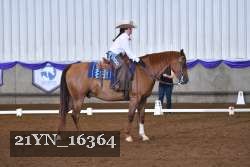 21YN_16364 thumbnail