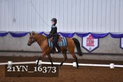21YN_16373 thumbnail