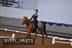 21YN_16375 thumbnail