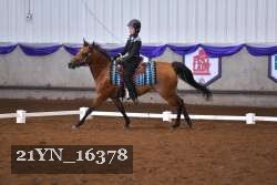 21YN_16378 thumbnail