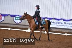 21YN_16380 thumbnail
