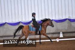 21YN_16384 thumbnail